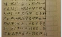 秋天的图画作文100字