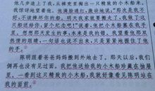 雪中情作文500字