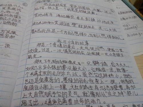 春天树组​​成