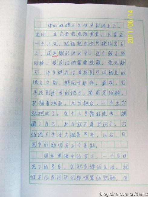 赞美汉字的构图