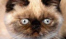 最有价值的事物不是眼睛能够看到的事物