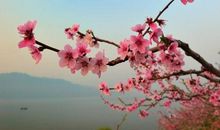 我心目中的桃花源