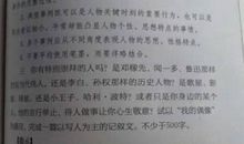 我的偶像作文450字