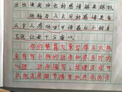 人体成分150字