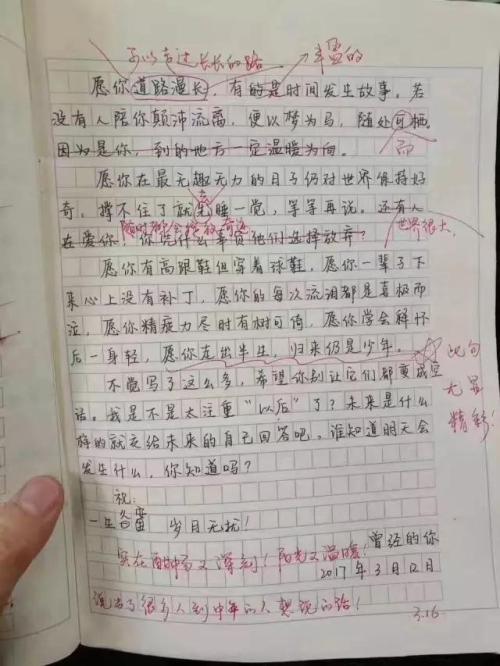 赞美松树的组成