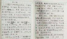 劳动的乐趣作文