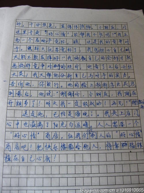 我心中的中学写作