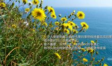 优美励志的句子,励志哲理的句子