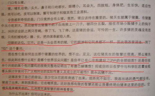 我心中的英雄作文300字