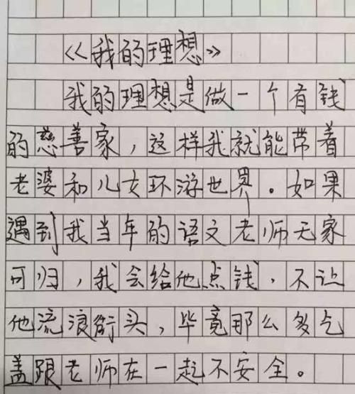 我理想的作文500字设计师
