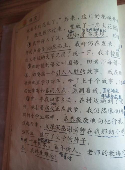 我的四个季节组成