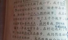 我的四季作文