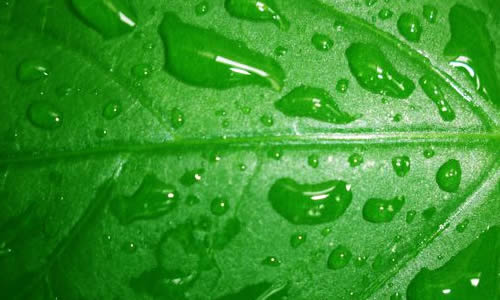 雨水成分