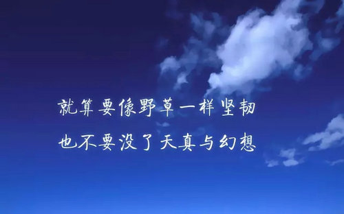 励志句子和励志图片2