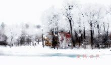 雪花的快乐读后感