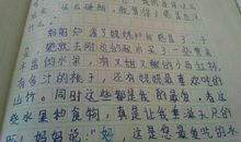 描写人物特点的作文