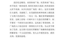 元宵节作文50字