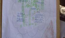 小学生作文我爱春天