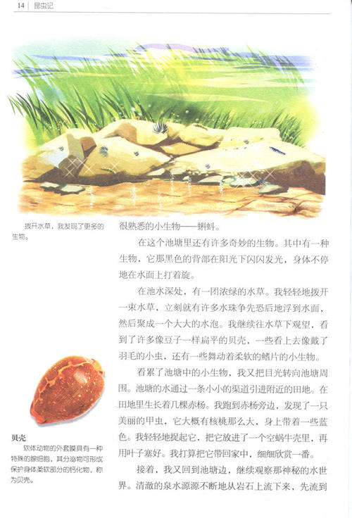 昆虫：Cri