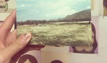 曾有你的天气读后感