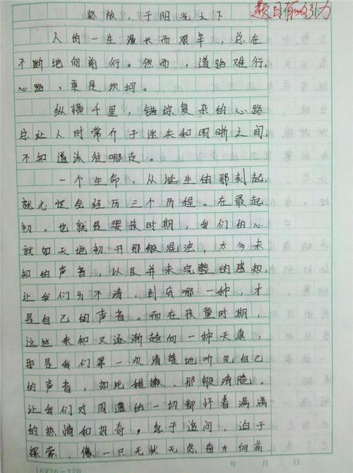 我最喜欢的电视剧创作