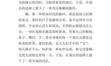 成长的足迹600字