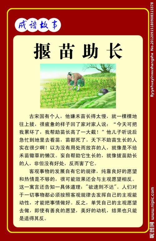 看完之后