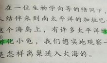 锁不住的心作文