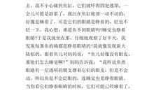 四年级作文我的发现