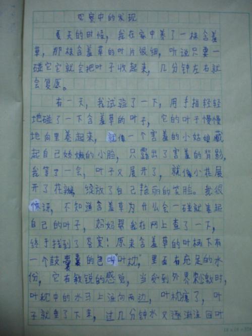 我的发现组成