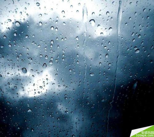 雨季组成