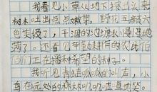 什么的春天作文