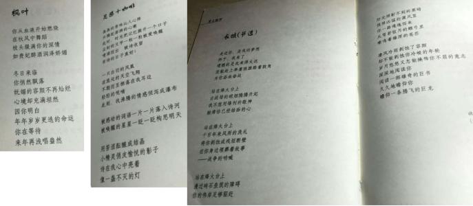 枫叶