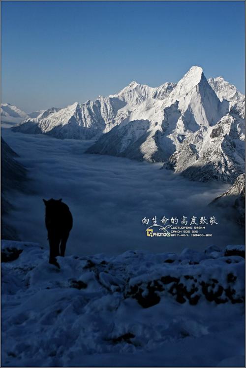 生活高度