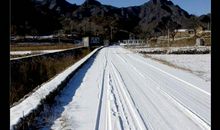 冬日漫步读后感