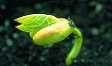 蒙田热爱生命读后感