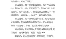 雨的自述作文400字