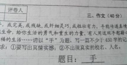我的发现日记