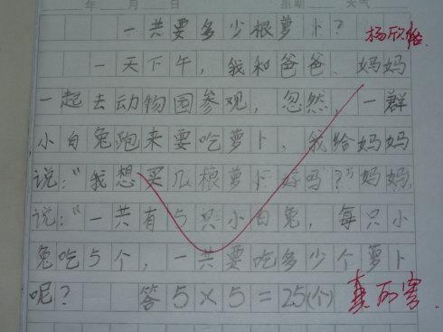 我的发现200字