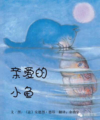 我亲爱的小鱼