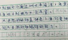 发现生活中的美作文