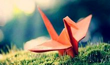 敬业就是硬道理读后感