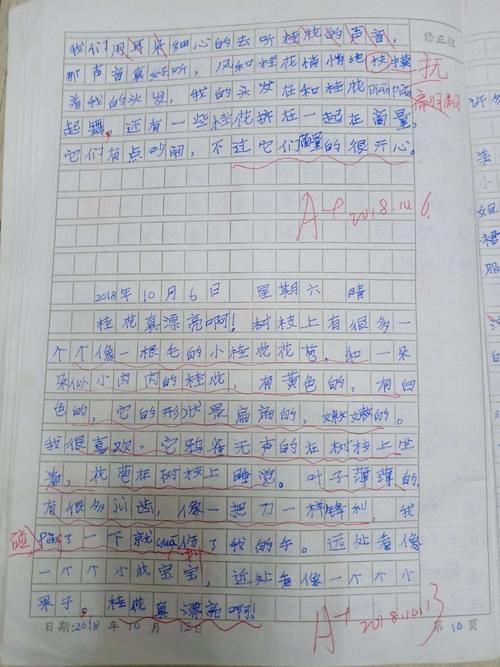小学生作文