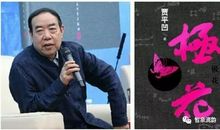 贾平凹丑石读后感