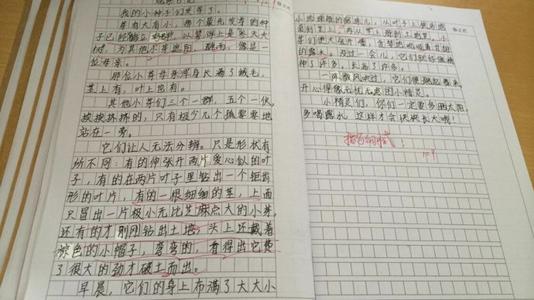 周末日记400字