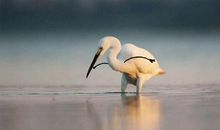 放爱一条生路，别再作茧自缚