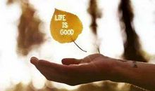 励志人生的句子带图片