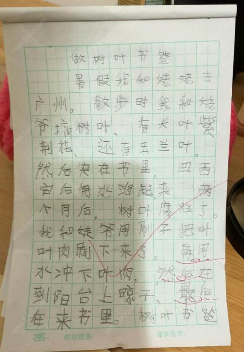 初中叙事作品