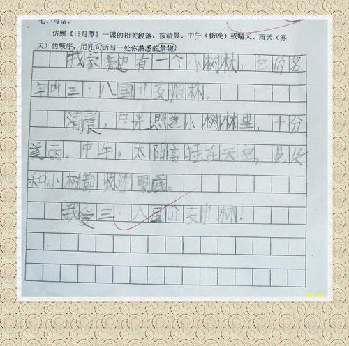 用300个字描述雨的构图