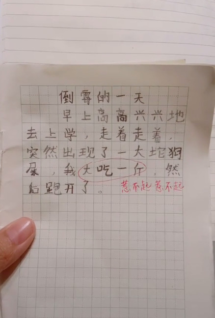 有趣的日记